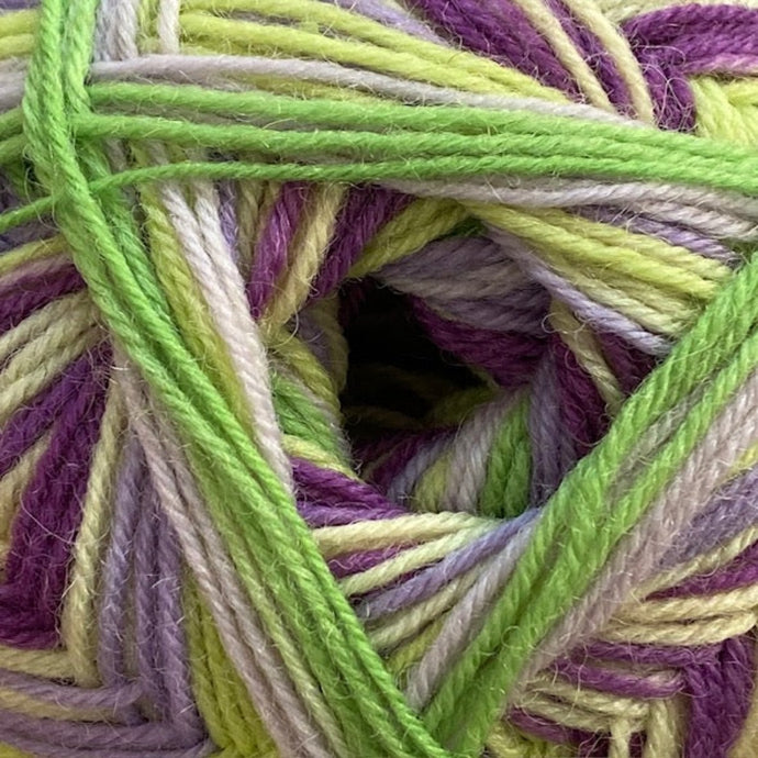 Regia 4ply Color | Fialovozelená