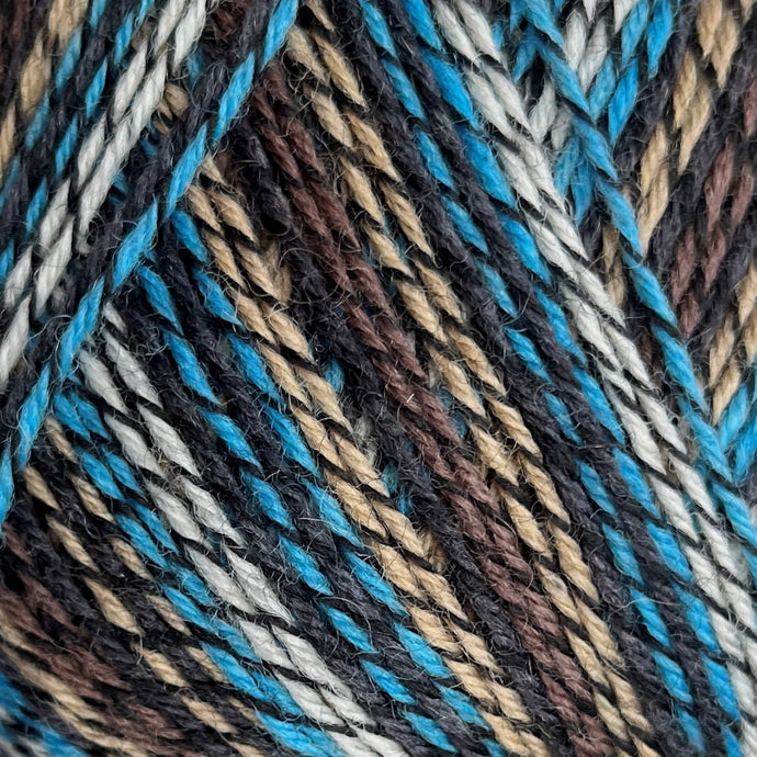Regia 4ply Classics Color | Veverička