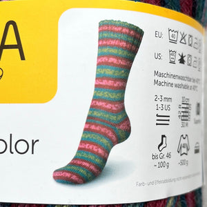 Regia 4ply Color | Fialovozelená