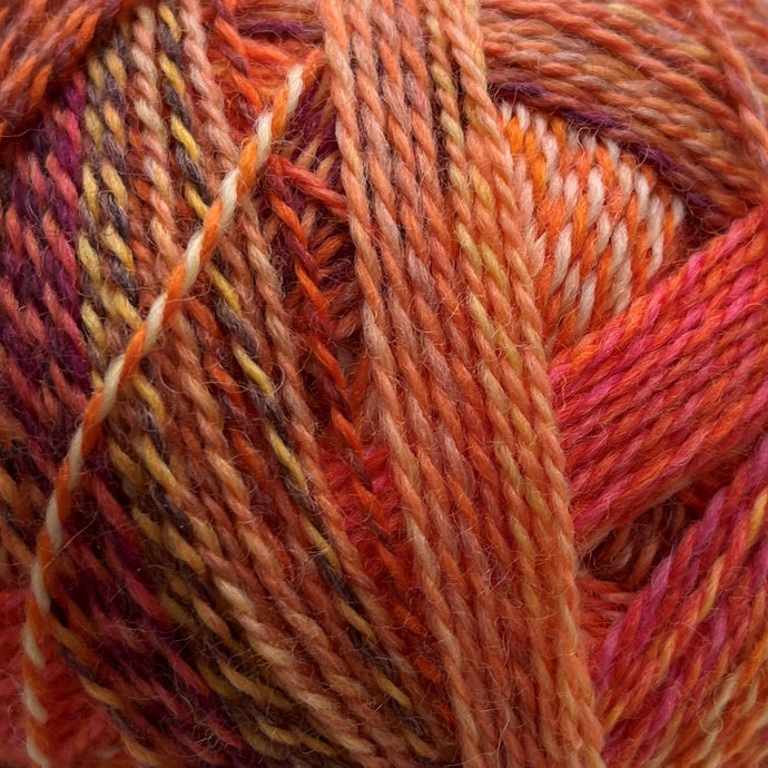 Zauberball Stärke 6 | Orangerie