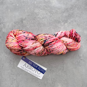 Malabrigo Arroyo | Sea Slug