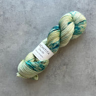 Uschitita Merino | Fern