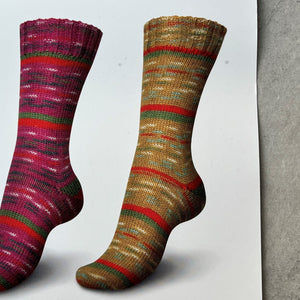 Regia 4ply Celebrations | Okrová