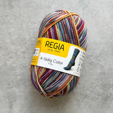 Načítať obrázok v galérii, Regia 4ply Color | Farebná Fialová