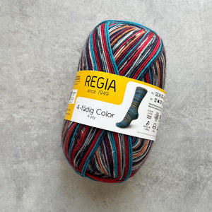 Regia 4ply Color | Viacfarebná