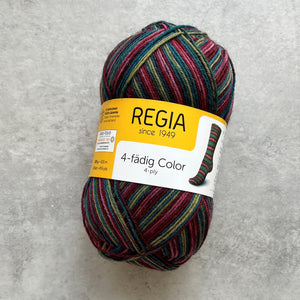 Regia 4ply Color | Fialovozelená