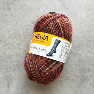 Regia 4ply Color| Škoricová