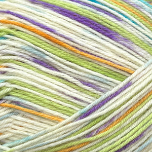 Regia 4ply Color | Jarná