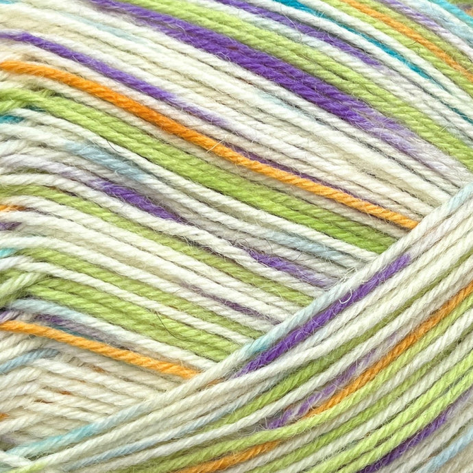 Regia 4ply Color | Jarná