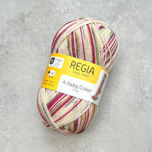 Načítať obrázok v galérii, Regia 4ply Color | Hravá