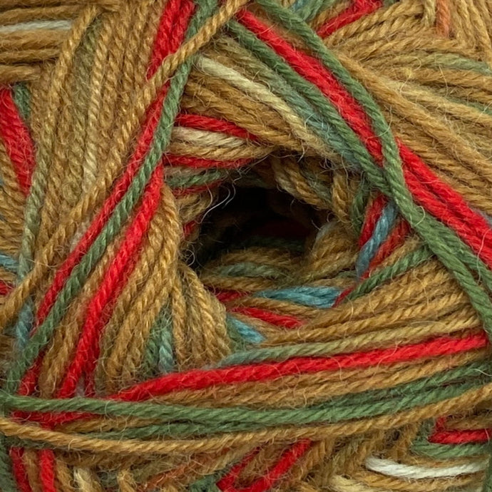 Regia 4ply Celebrations | Okrová