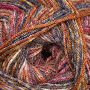 Regia 4ply Color| Škoricová