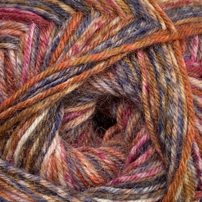 Regia 4ply Color| Škoricová