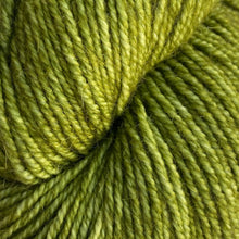 Načítať obrázok v galérii, Malabrigo Dos Tierras | Lettuce