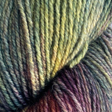 Načítať obrázok v galérii, Malabrigo Dos Tierras | Arco Iris 866