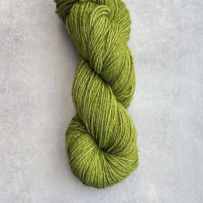 Malabrigo Dos Tierras | Lettuce 37